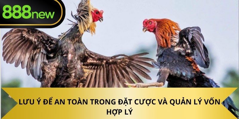 Lưu ý để an toàn trong đặt cược và quản lý vốn hợp lý